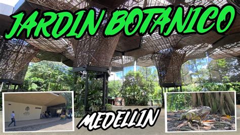  De Jardín Botánico de la Universidad Nacional de Medellín: Een Oase van Biodiversiteit en Ontspanning in het Hart van Colombia!